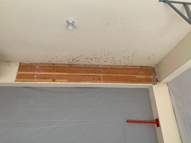 Best Flood Damage  in Jefferson, NC